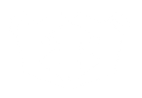 Geometric cub logo